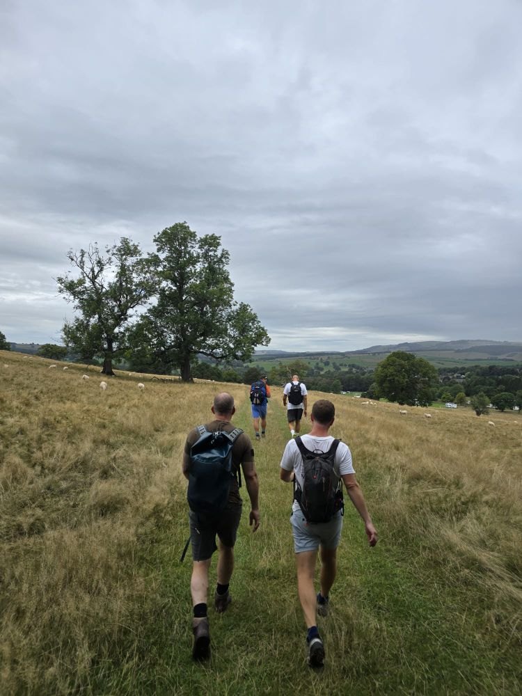 A group of hikers walking through a grassy meadow