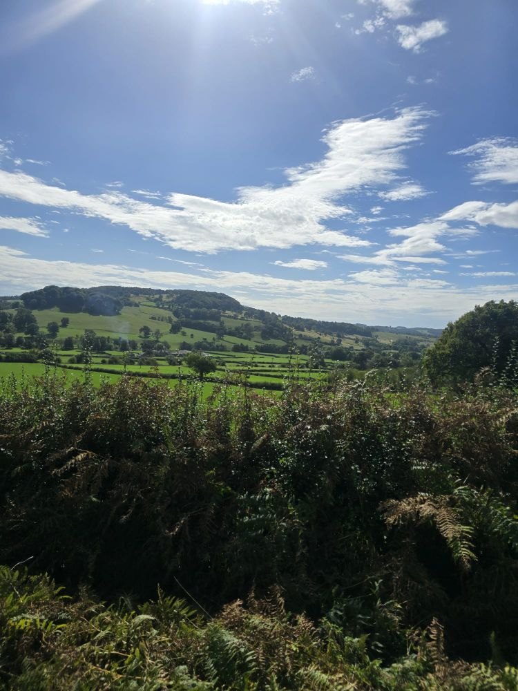 A sunny view across green fields and hills