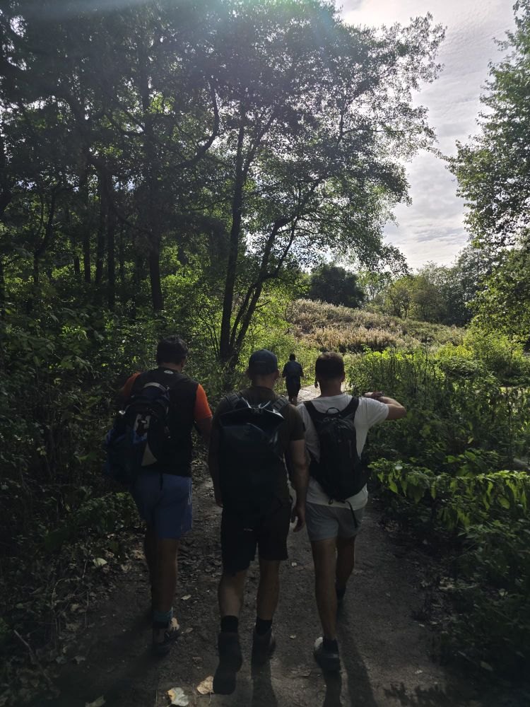 Hikers walking a woodland trail together